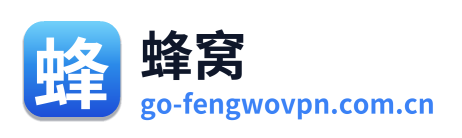 蜂窝VPN